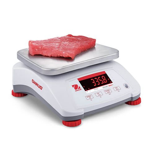 Bench Scales, food scales, meat scales